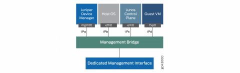 nfx250-management_bridge